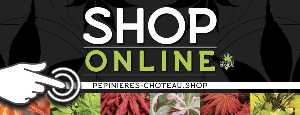 Découvrez notre boutique en ligne